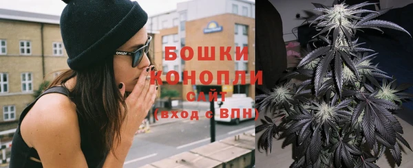 бошки Иннополис