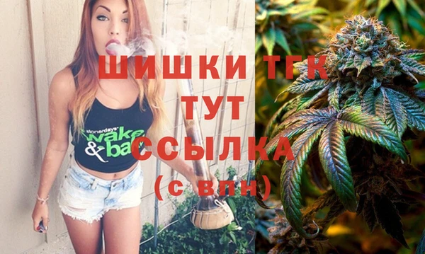 бошки Инта